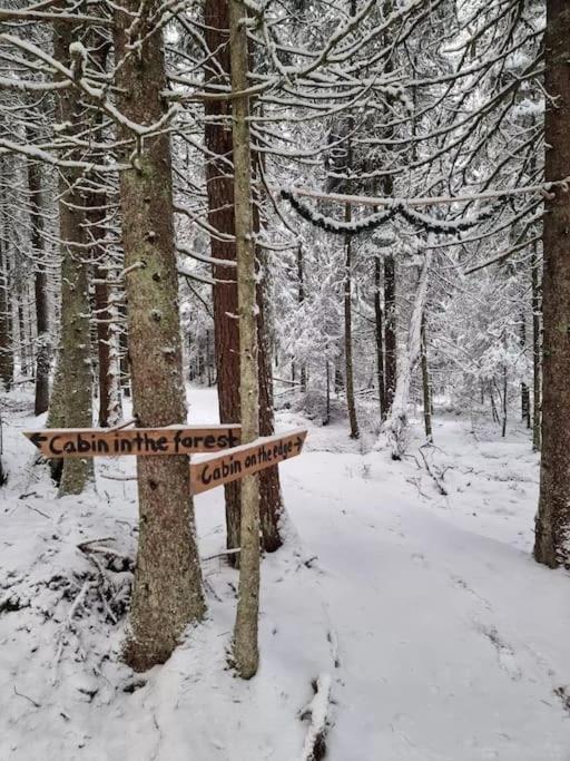 Treetop Ekne - Hytte I Skogen Med Hengebru Otel Levanger Dış mekan fotoğraf