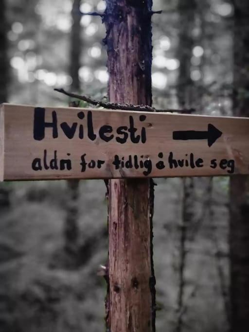 Treetop Ekne - Hytte I Skogen Med Hengebru Otel Levanger Dış mekan fotoğraf