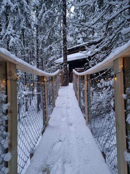 Treetop Ekne - Hytte I Skogen Med Hengebru Otel Levanger Dış mekan fotoğraf