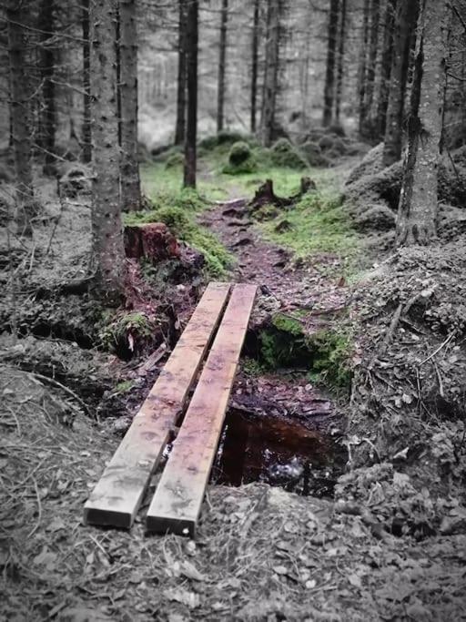 Treetop Ekne - Hytte I Skogen Med Hengebru Otel Levanger Dış mekan fotoğraf