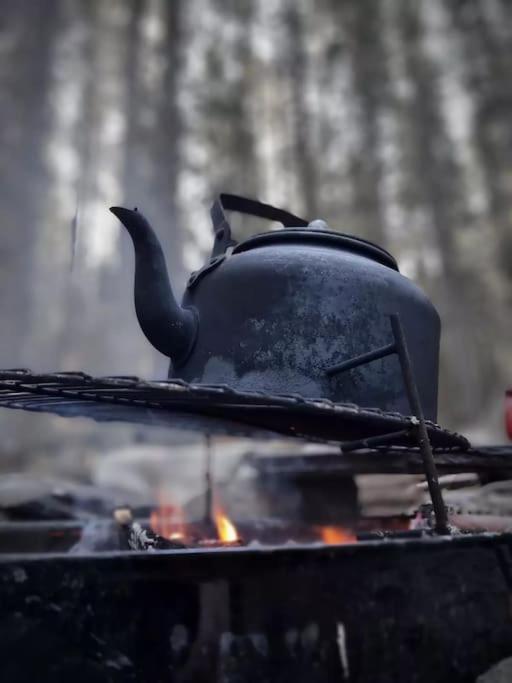 Treetop Ekne - Hytte I Skogen Med Hengebru Otel Levanger Dış mekan fotoğraf