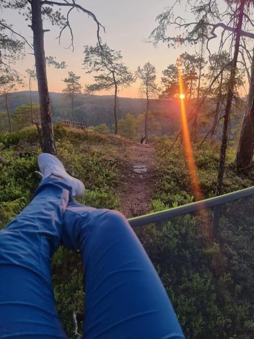 Treetop Ekne - Hytte I Skogen Med Hengebru Otel Levanger Dış mekan fotoğraf