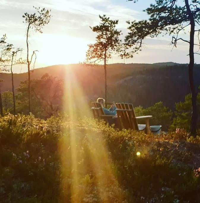 Treetop Ekne - Hytte I Skogen Med Hengebru Otel Levanger Dış mekan fotoğraf