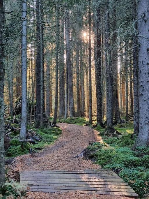 Treetop Ekne - Hytte I Skogen Med Hengebru Otel Levanger Dış mekan fotoğraf