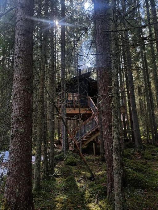 Treetop Ekne - Hytte I Skogen Med Hengebru Otel Levanger Dış mekan fotoğraf
