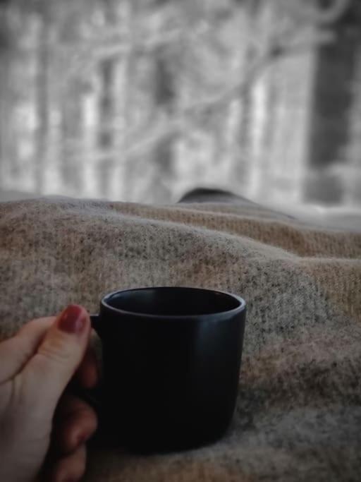 Treetop Ekne - Hytte I Skogen Med Hengebru Otel Levanger Dış mekan fotoğraf