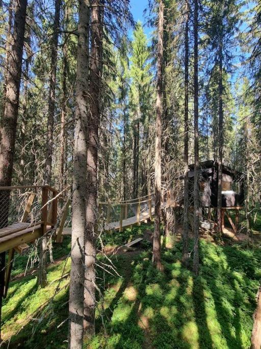 Treetop Ekne - Hytte I Skogen Med Hengebru Otel Levanger Dış mekan fotoğraf