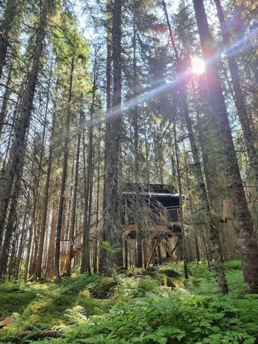 Treetop Ekne - Hytte I Skogen Med Hengebru Otel Levanger Dış mekan fotoğraf