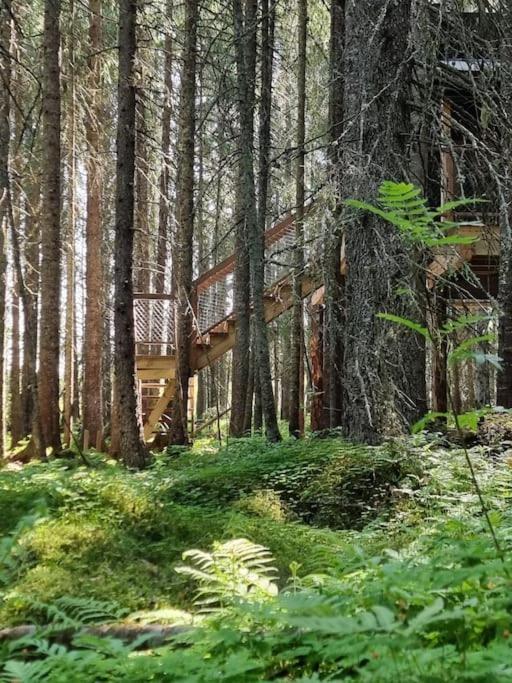 Treetop Ekne - Hytte I Skogen Med Hengebru Otel Levanger Dış mekan fotoğraf